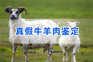陇南羊类动物鉴定